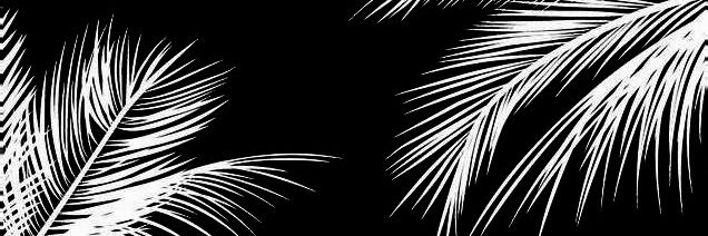beyondthetea's profile banner image