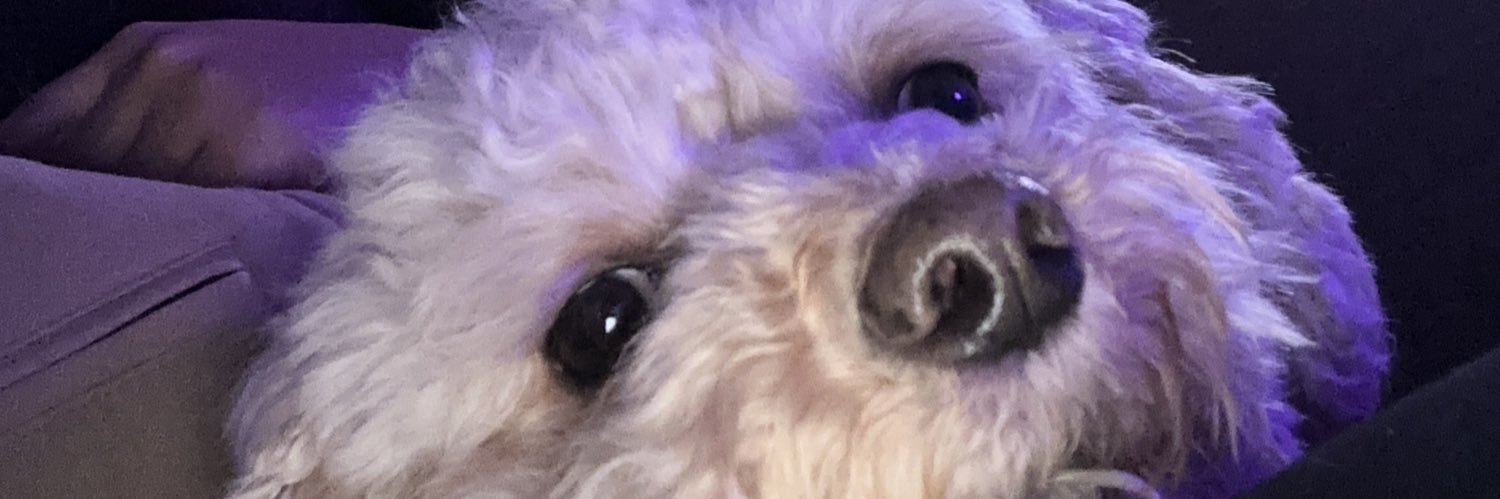 spicysasmr's profile banner image