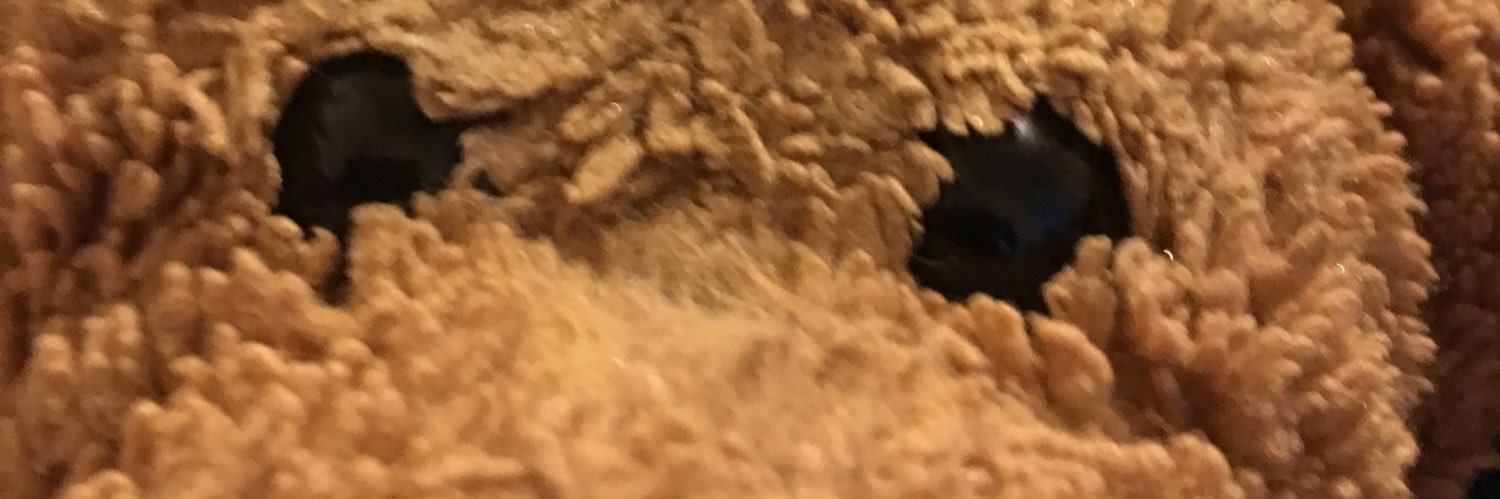 Angel Vulnoix banner