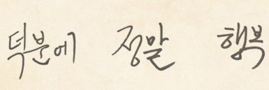 채채 banner