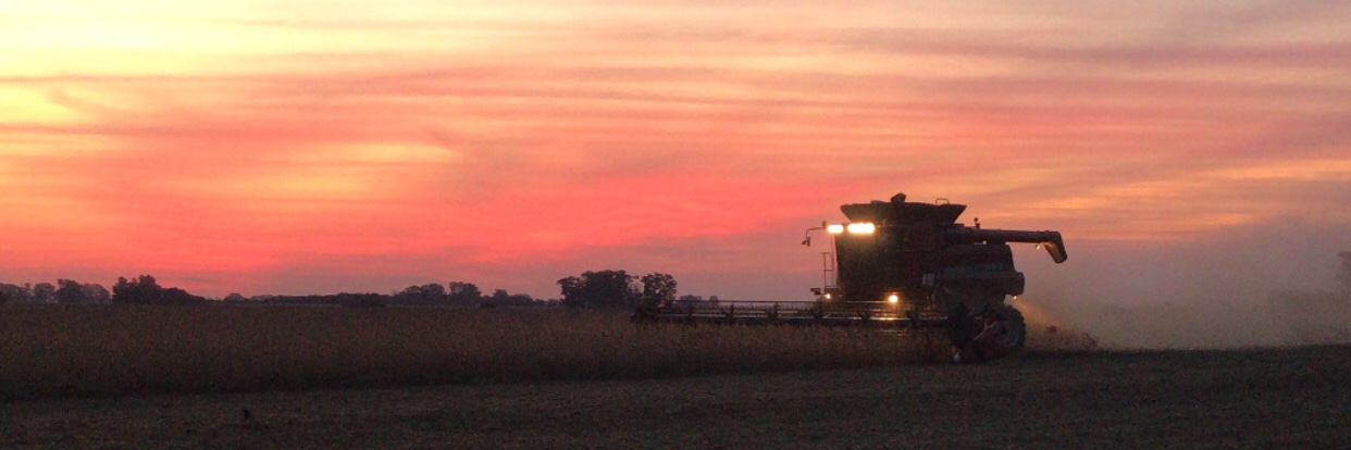 SolCarrettoni's profile banner image