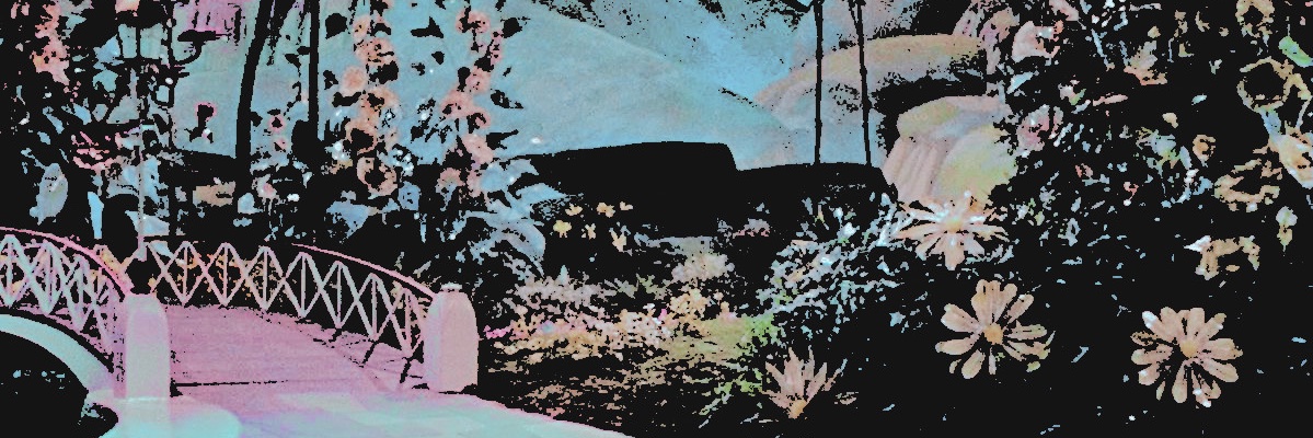 ‍ ‍ ‍ ‍⊹ ࣪ ˖ ⋒ ‍ ‍𝓓𝑶𝑹𝑶𝑻𝑯𝒀 banner