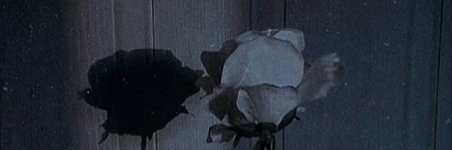 𝒔𝒉𝒚 banner