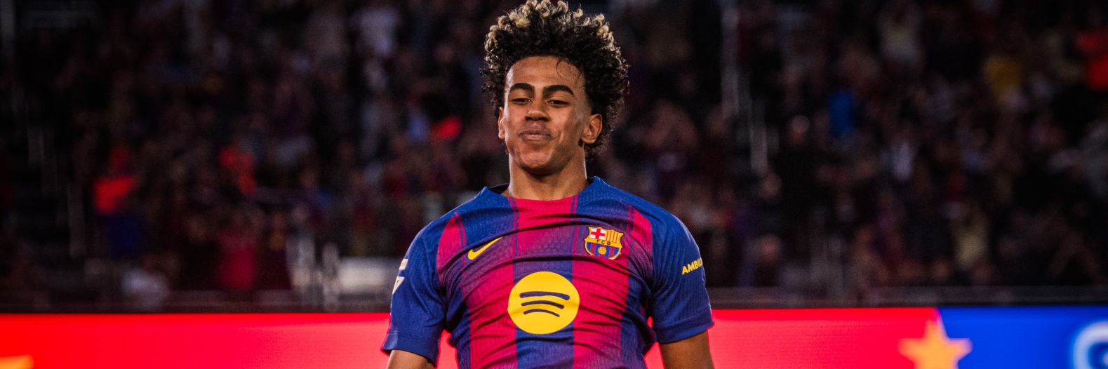 Access Lamine banner