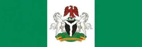 Nigerian News Vendor banner
