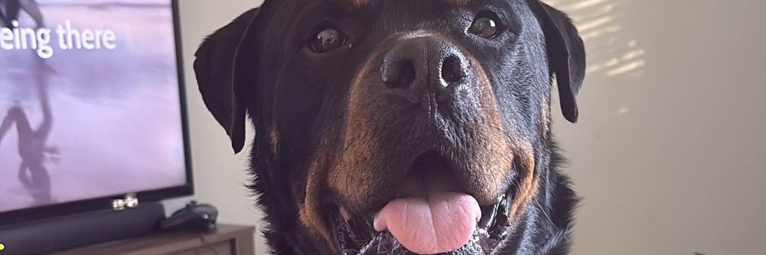 Nicola Bedlington banner