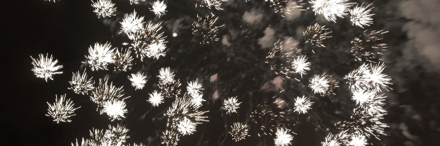 HayleyJaneSims's profile banner image