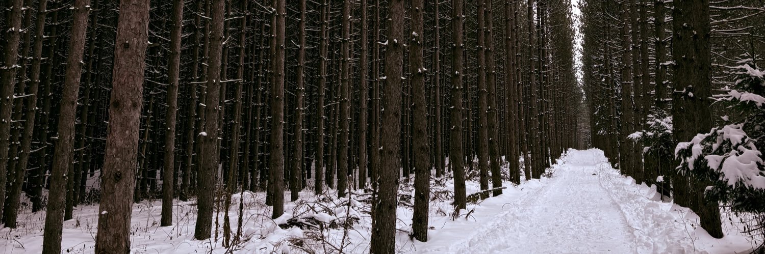 lexnorthrup's profile banner image