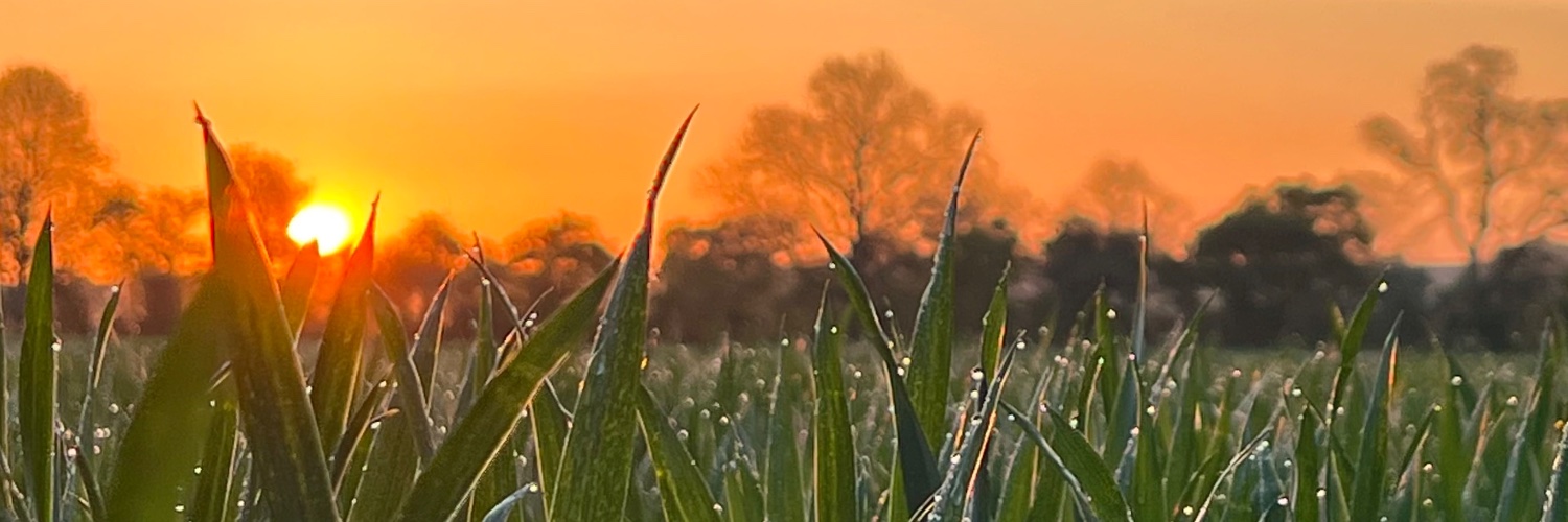 moic's profile banner image