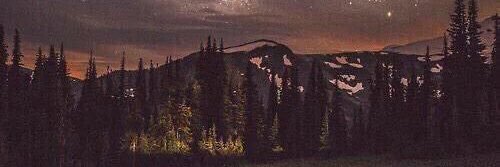 deedeemohan's profile banner image