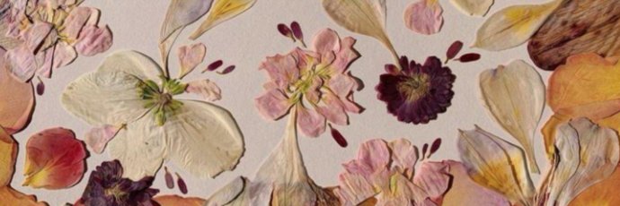 Ray_oscarr's profile banner image