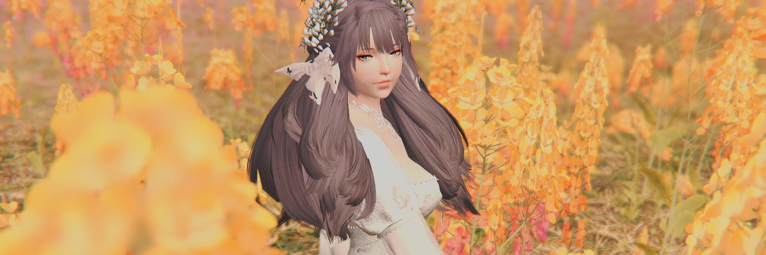 cara ˖⋆.˚ banner