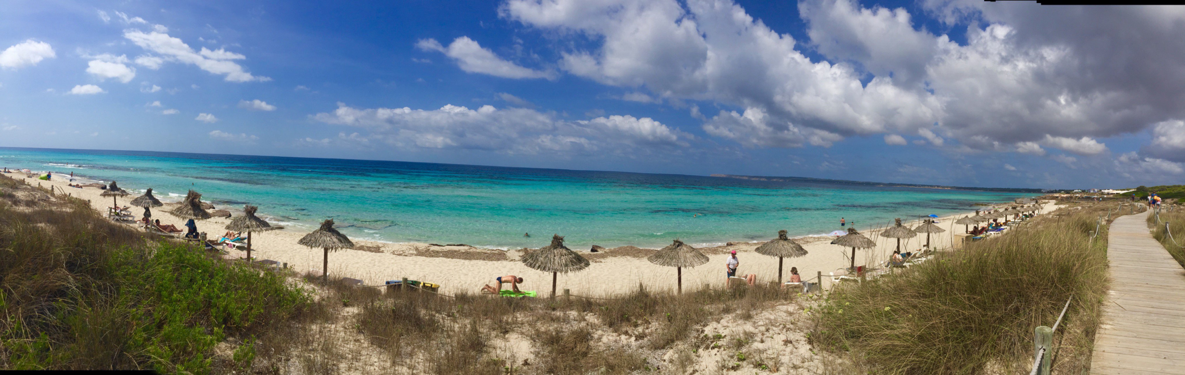 Elisa Larrain Velutini banner