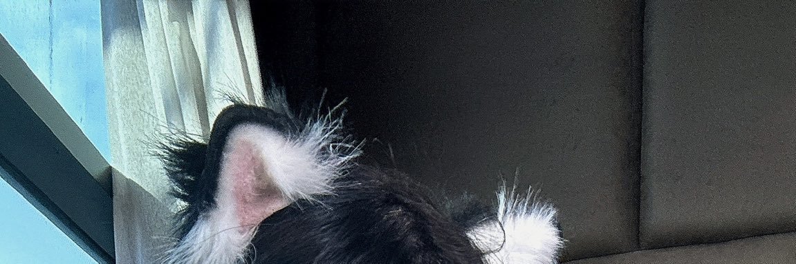 皮卡丘ruanm banner