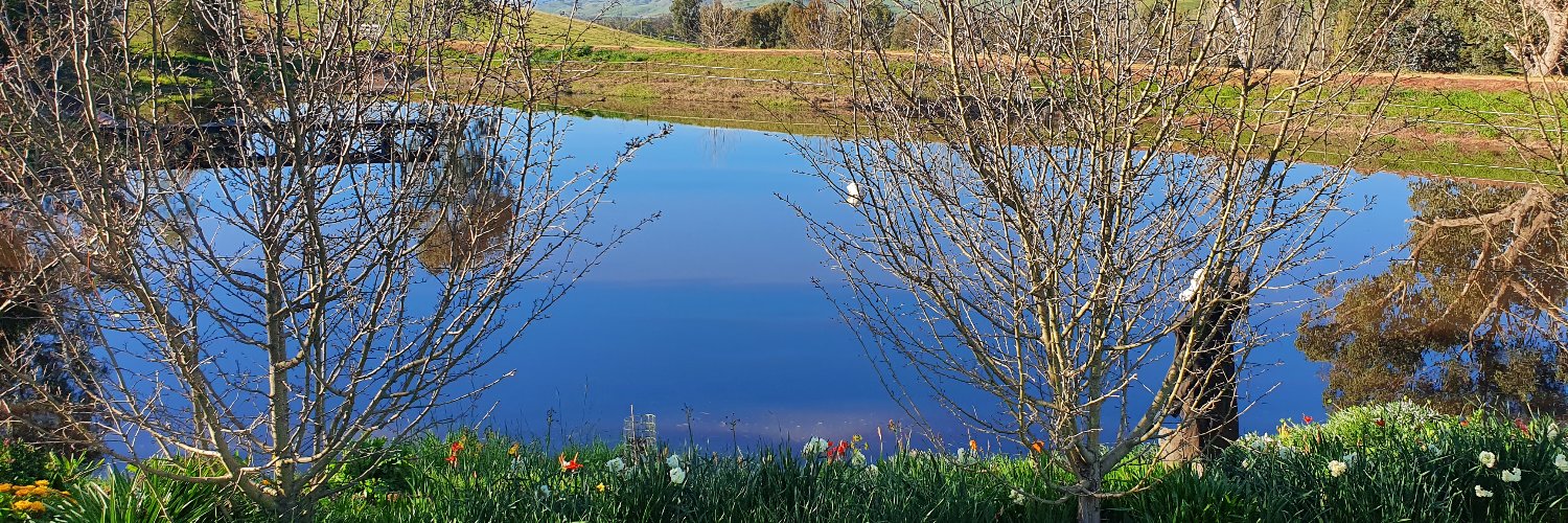 David Masters banner