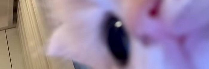 eva_rnrr's profile banner image