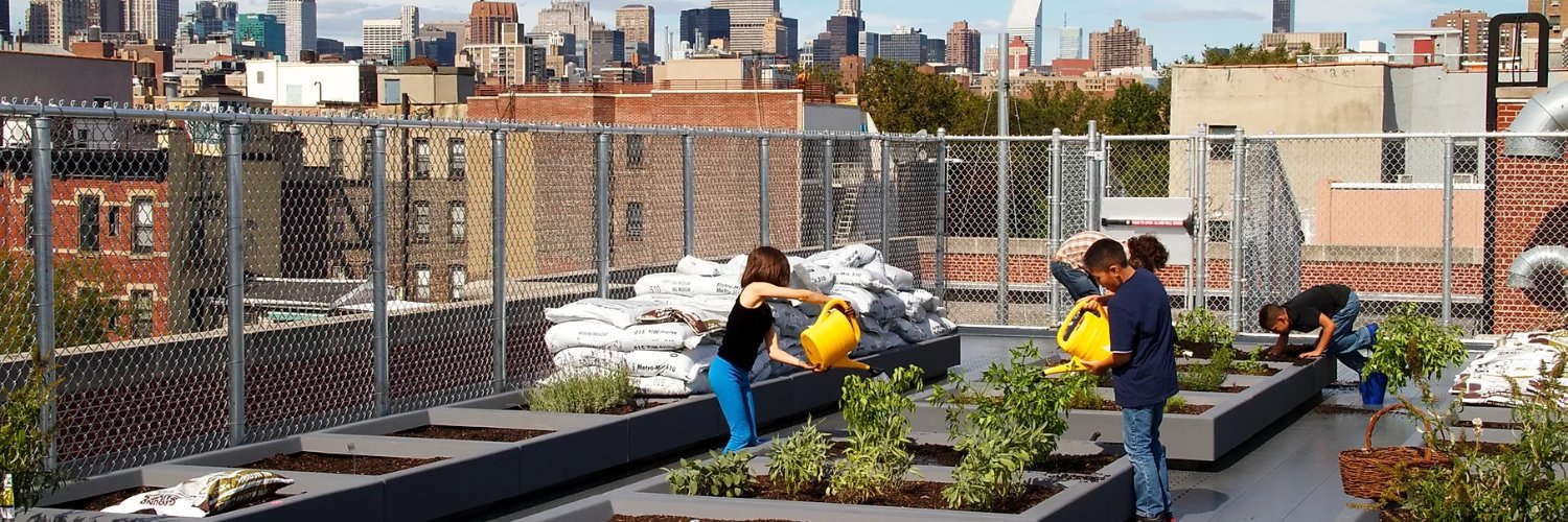 TheEarthSchool's profile banner image