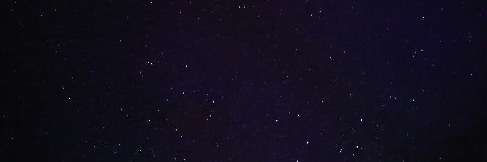 sofia1000004's profile banner image