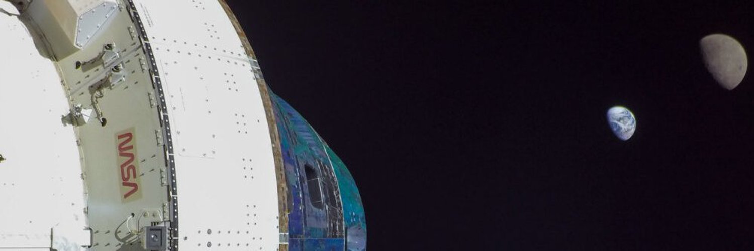 Great Data Parrot banner