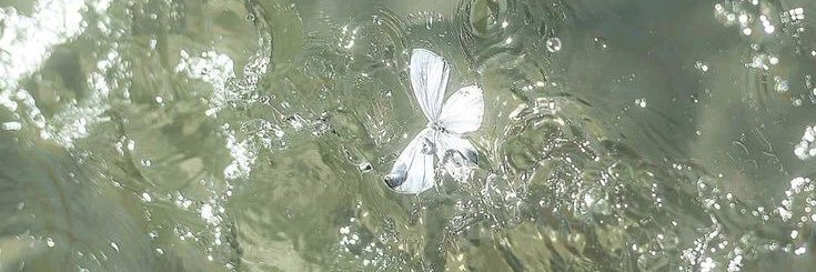 cas 🧸ྀི (jake’s gf) banner