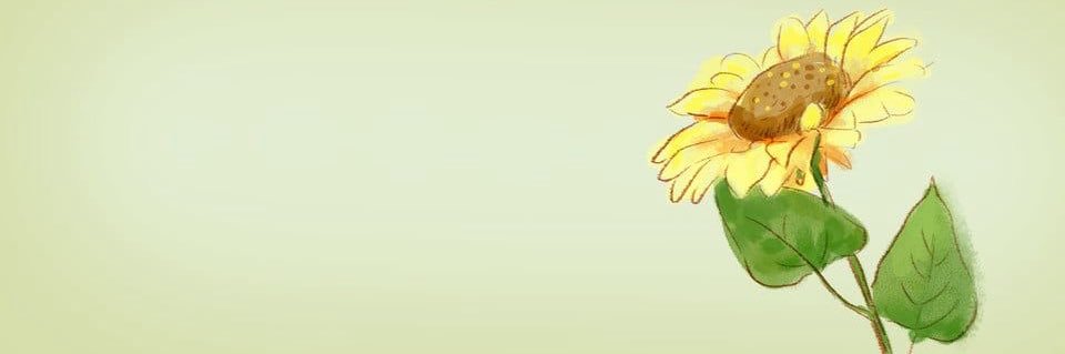 🌸 ANGEL 🌸 of edtwt banner
