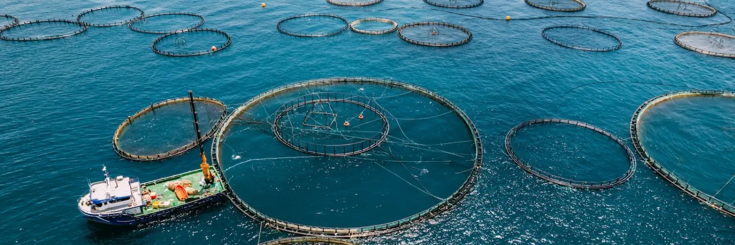 OctaPulse (YC W26) banner