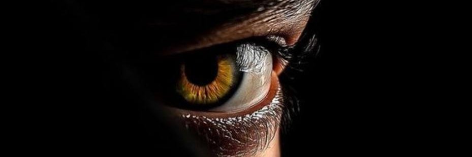 The Shadow Briefing🇺🇸🦅 banner