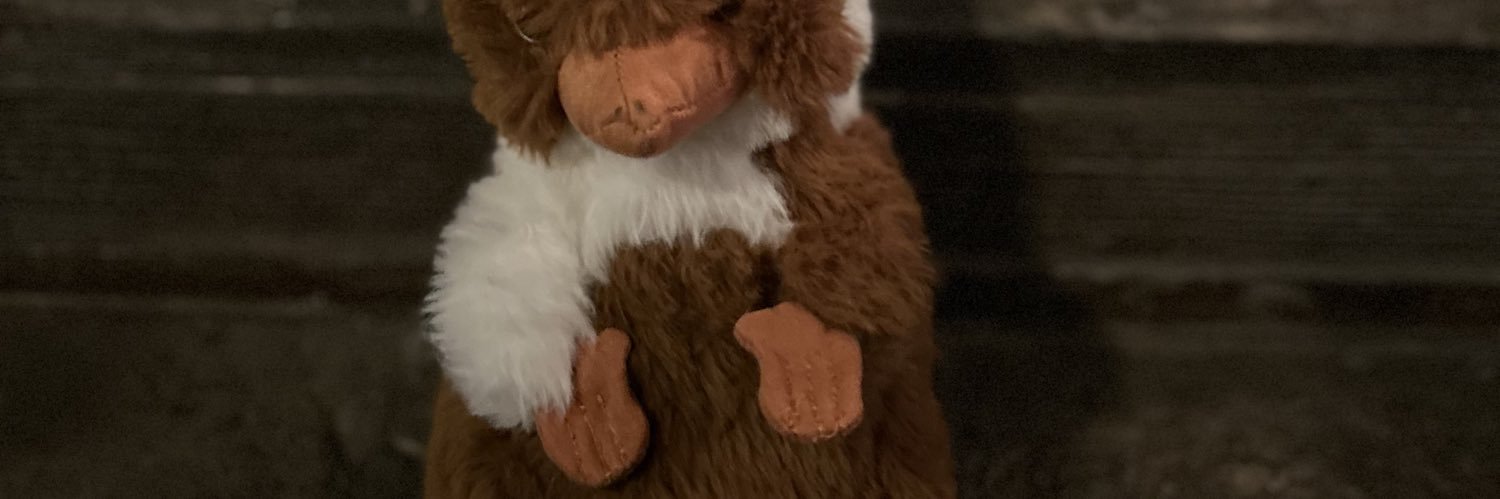 𝑀𝒶𝒾 banner