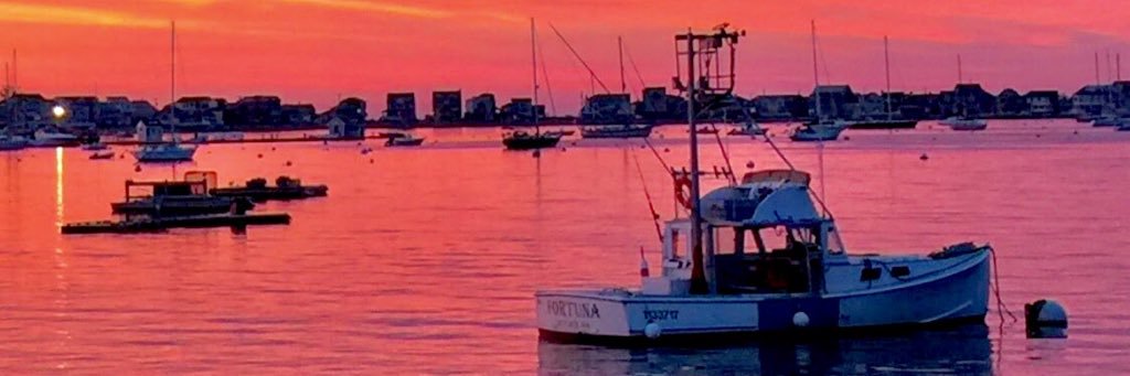 RealJShJr's profile banner image