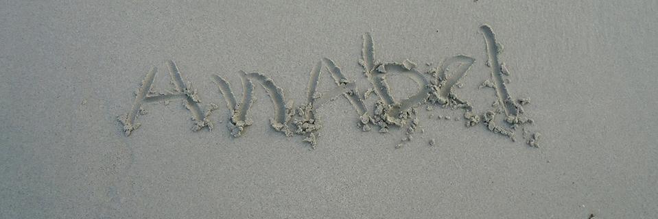 anabelbarrios's profile banner image