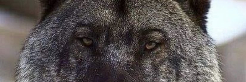 _JorgeVelizR's profile banner image