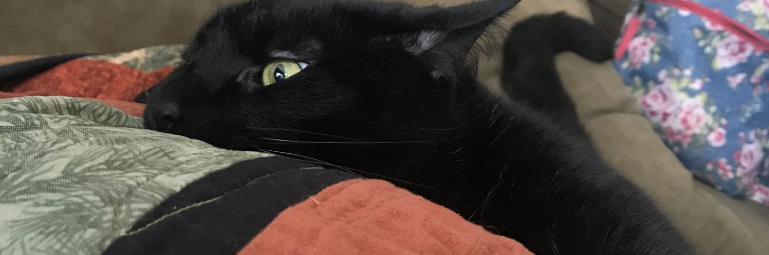 DavidEKuta's profile banner image