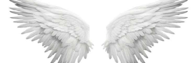 bbokeifelix's profile banner image