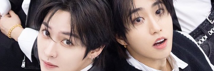 💗Familia tradicional SKZista💚 banner