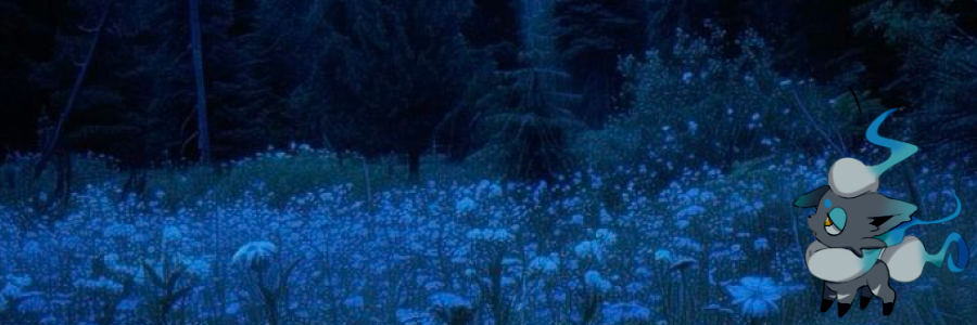 ᅠᅠ𐔌 . ⋮ 𝐻 . 𝚉𝚘𝚛𝚞𝚊 .ᐟ ֹ ₊ ꒱ banner
