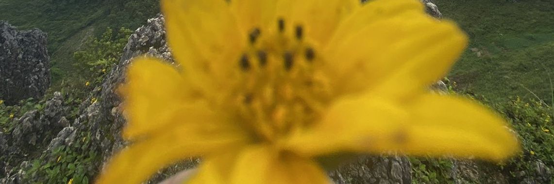VanDEANcrew's profile banner image