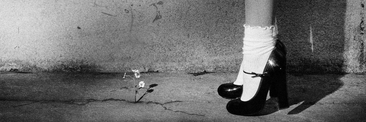 mimi's archive; ꕤ banner