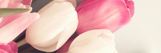JTNaranja's profile banner image