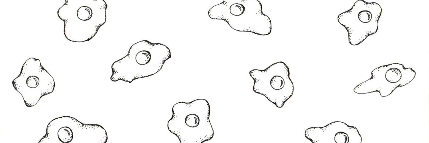 hazelypants's profile banner image
