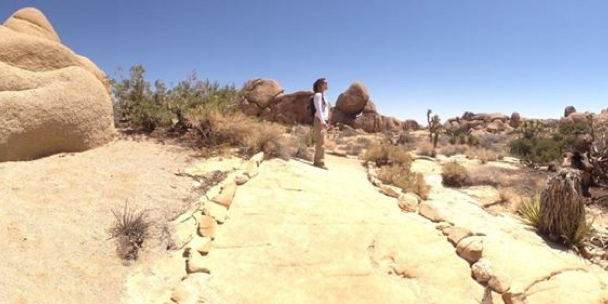 Eunice Figueras Borges banner