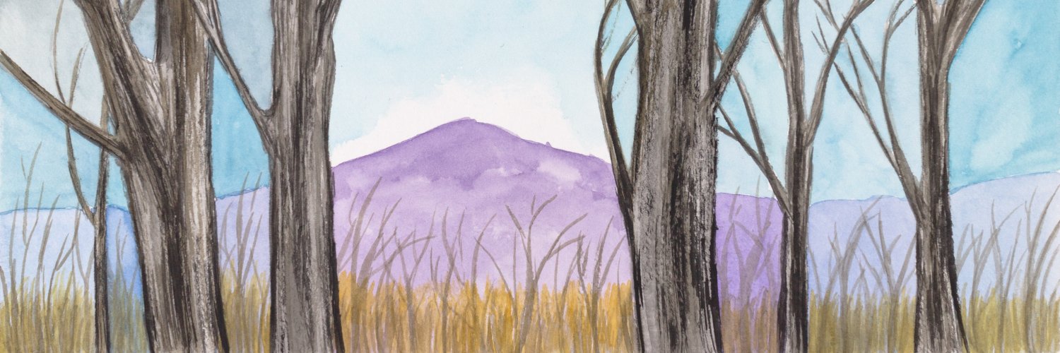 Nell Shaw Cohen banner