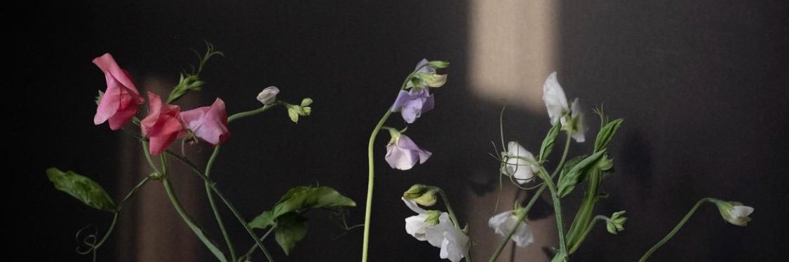 Likesunshower's profile banner image