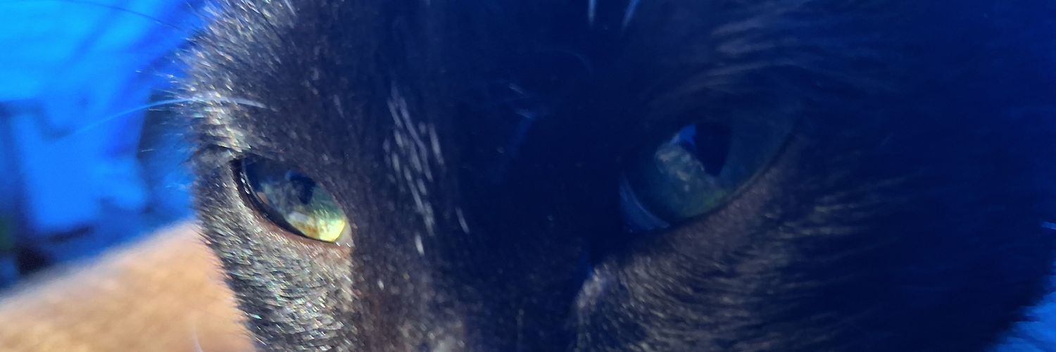 nick ghuer banner