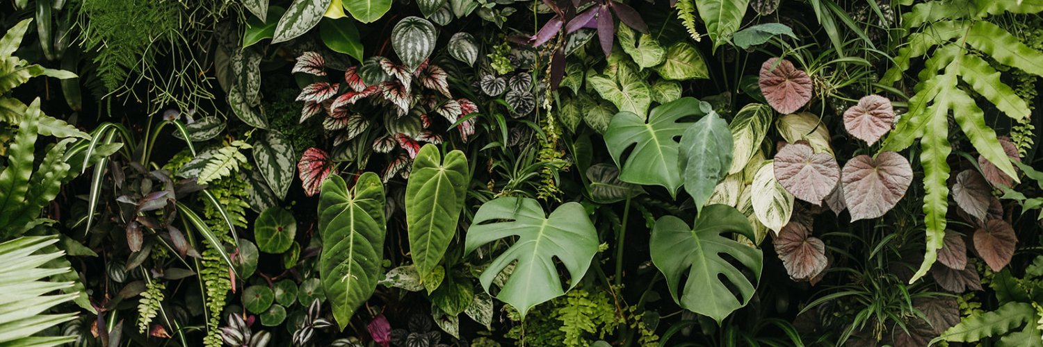 Gardens of Babylon banner