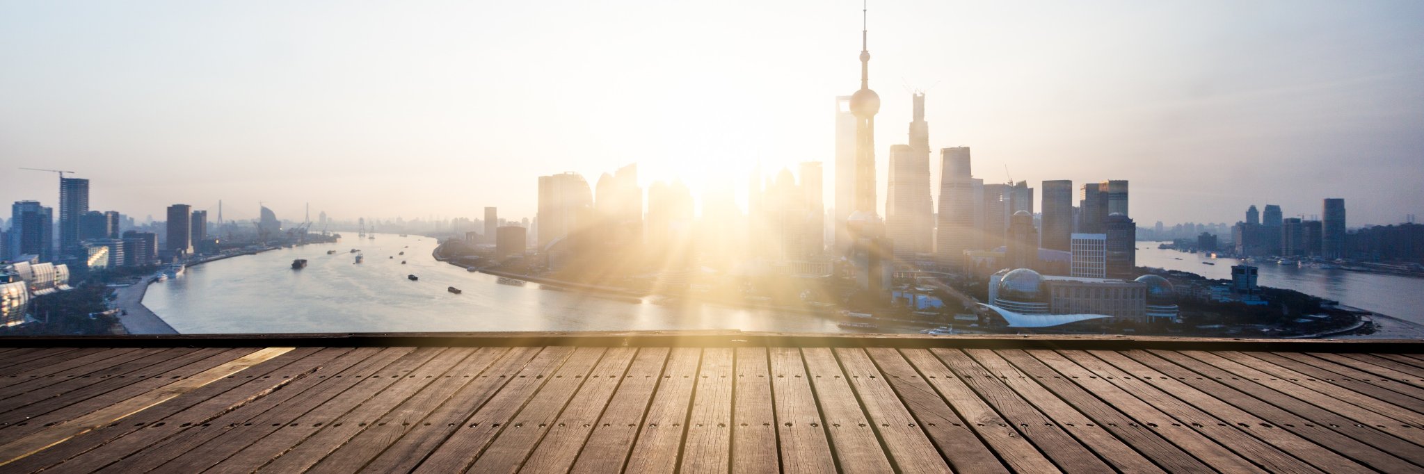 Chris Davidson banner