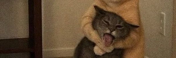 gorbebackup Profile Banner