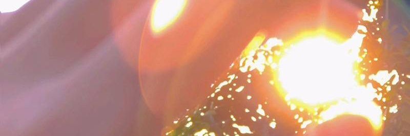 SmNanetta20274's profile banner image