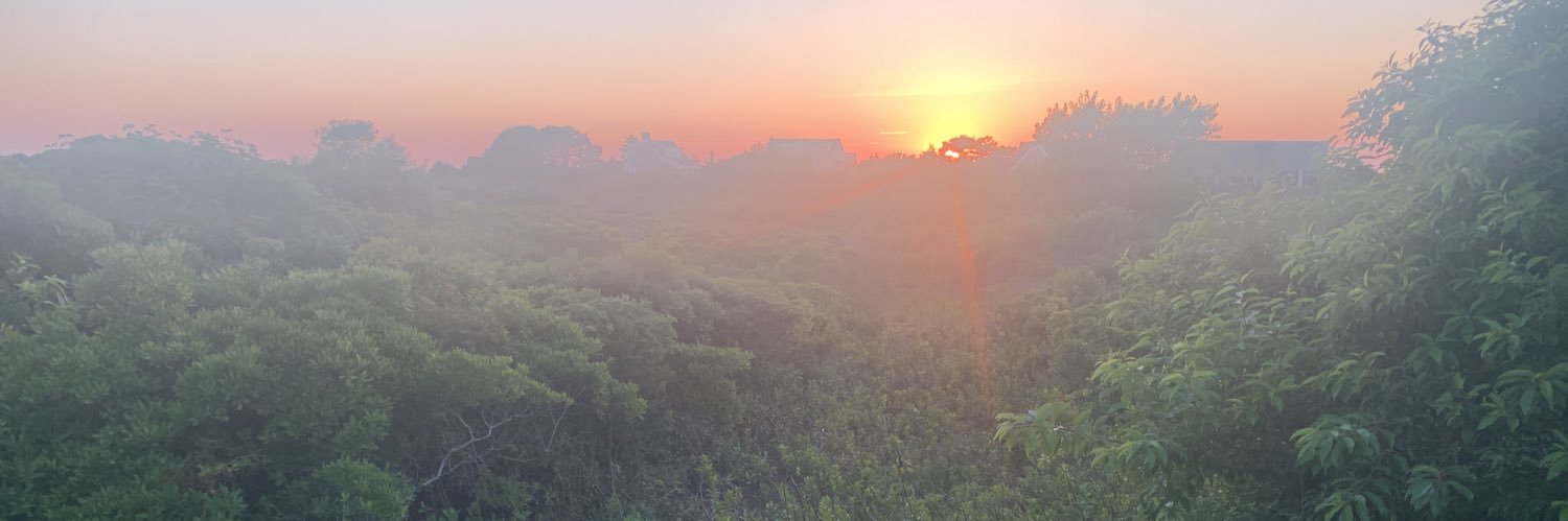 PhylC's profile banner image