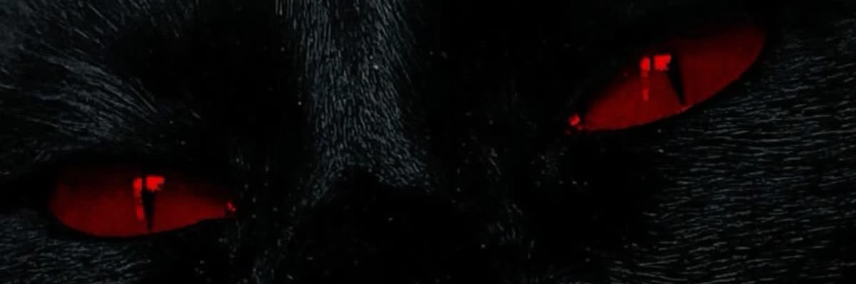 suescaraba555's profile banner image