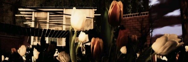 starlettera Profile Banner